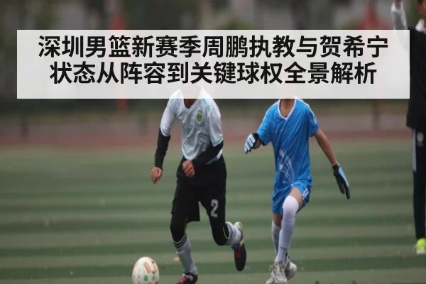 深圳男篮新赛季周鹏执教与贺希宁状态从阵容到关键球权全景解析